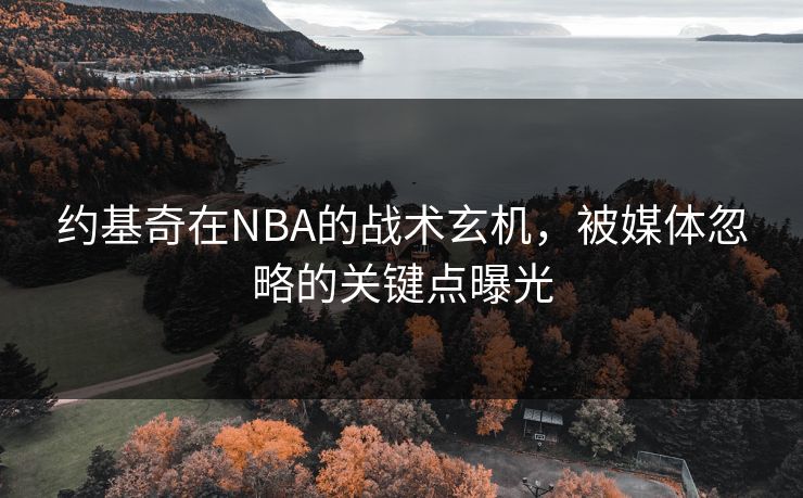 约基奇在NBA的战术玄机，被媒体忽略的关键点曝光