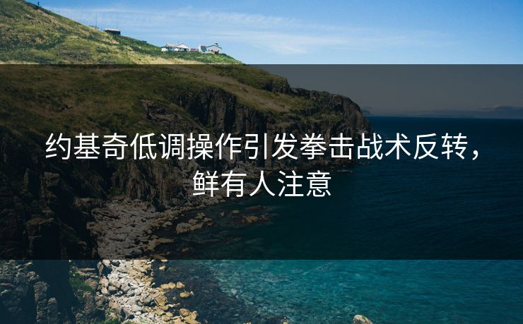 约基奇低调操作引发拳击战术反转，鲜有人注意